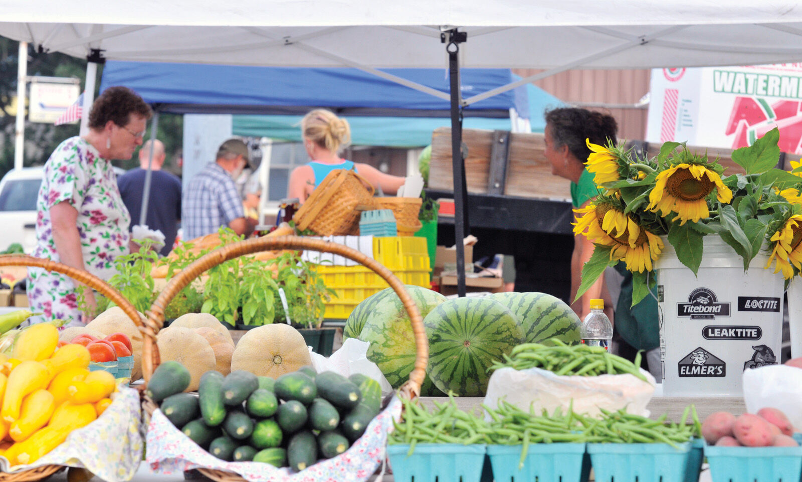 Millsboro Farmers' Market (copy)